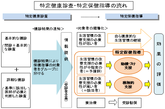 特定健康調査・特定保健指導の流れ